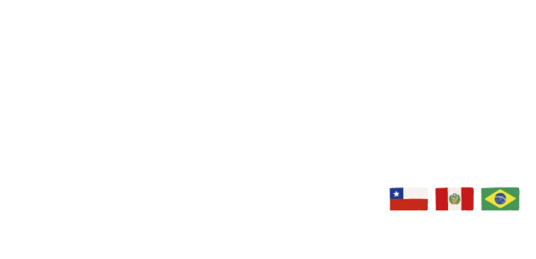 Cynersis — Integrador Tecnológico